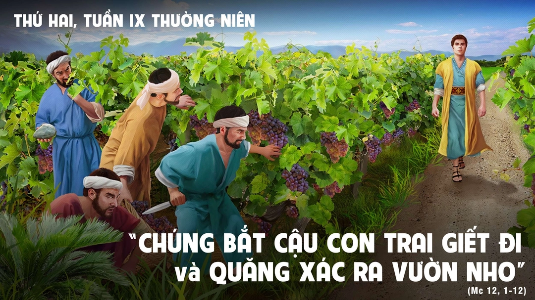 Suy Niệm Lời Chúa | Thứ Hai Tuần IX Mùa Thường Niên | Mc 12,1-12 | Phút Cầu Nguyện