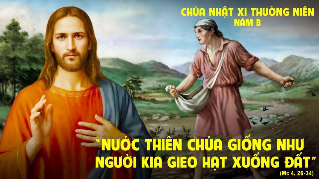 Suy Niệm Lời Chúa | Chúa Nhật Tuần XI Mùa Thường Niên - Năm B | Mc 4,26-34 | Phút Cầu Nguyện