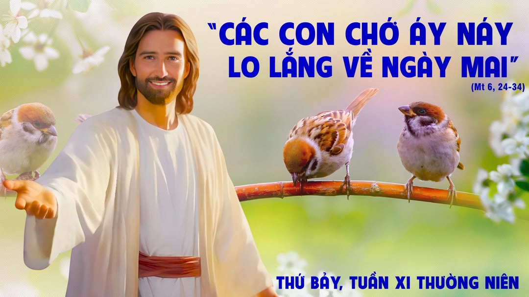 Suy Niệm Lời Chúa | Thứ Bảy Tuần XI Mùa Thường Niên | Mt 6,24-34 | Phút Cầu Nguyện