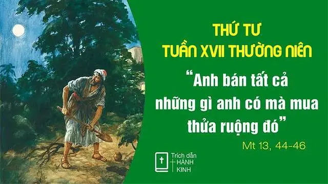 Suy Niệm Lời Chúa | Thứ Tư Tuần XVII Mùa Thường Niên - | Mt 13,44-46 | Phút Cầu Nguyện