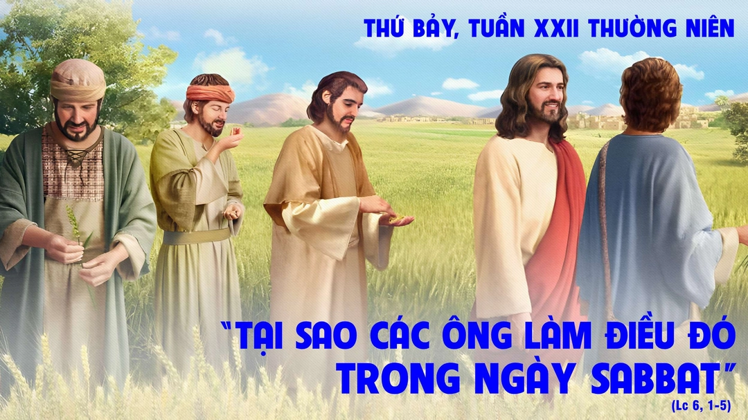 Suy Niệm Lời Chúa | Thứ Bảy Tuần XXII Mùa Thường Niên | Lc 6,1-5 | Phút Cầu Nguyện