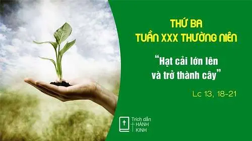 Chú Giải Tin Mừng Thứ Ba Tuần XXX Mùa Thường Niên (Lc 13,18-21) | Giáo Phận Phú Cường