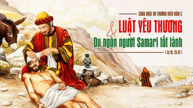 Chầu Thánh Thể Chúa Nhật 15 Thường niên năm C - 2025
