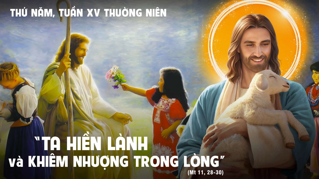 Suy Niệm Lời Chúa | Thứ Năm Tuần XV Mùa Thường Niên | Mt 11,28-30 - Phút Cầu Nguyện