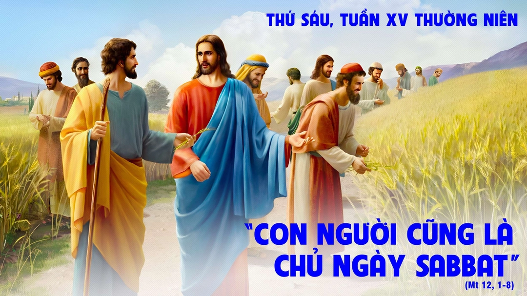 Suy Niệm Lời Chúa | Thứ Sáu Tuần XV Mùa Thường Niên | Mt 12,1-8 - Phút Cầu Nguyện
