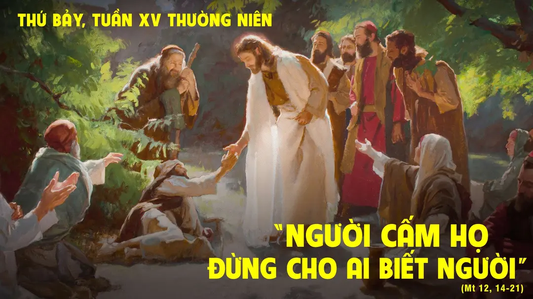 Suy Niệm Lời Chúa | Thứ Bảy Tuần XV Mùa Thường Niên | Mt 12,14-21 - Phút Cầu Nguyện