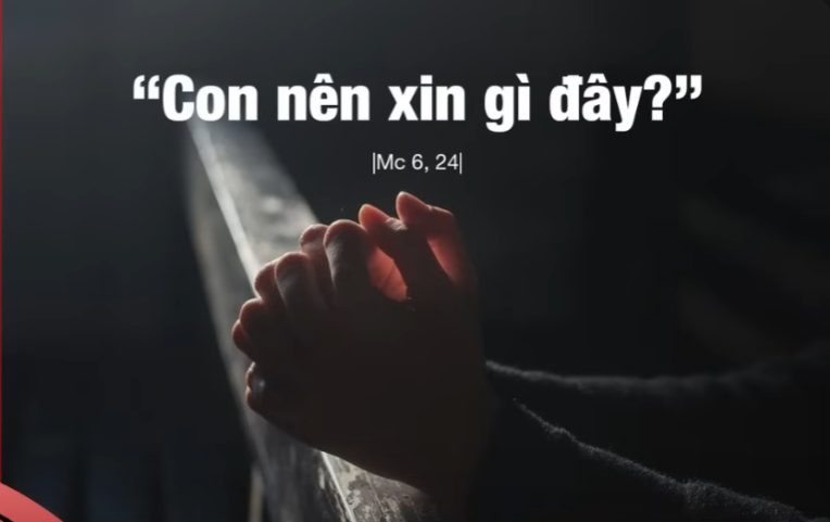 Radio thứ Sáu 29/08/2025 - Vatican News Tiếng Việt